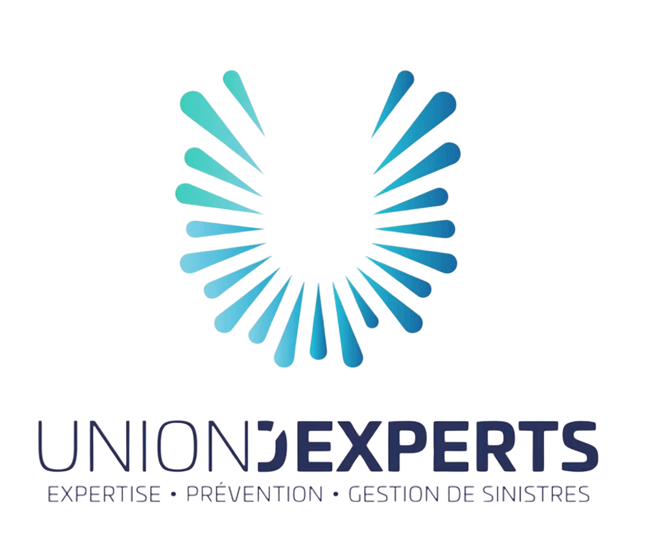 Logo Union d'Experts